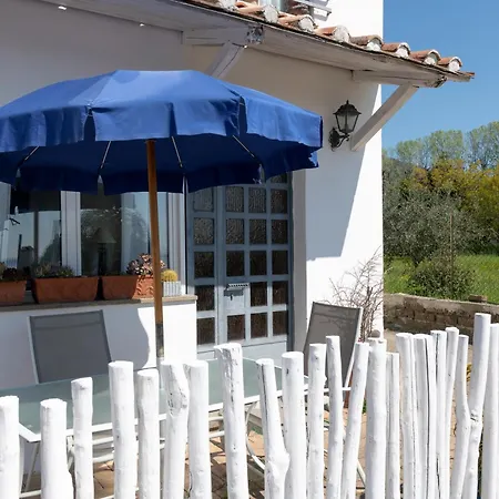 Blu Scirocco Front Trevignano *